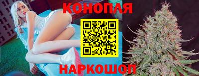 прущие грибы Балахна